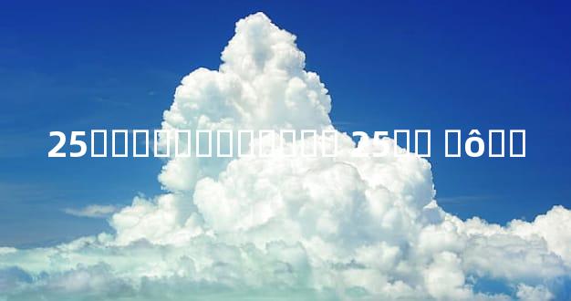 25���˼�Ȣ������ 25�� ʲô��